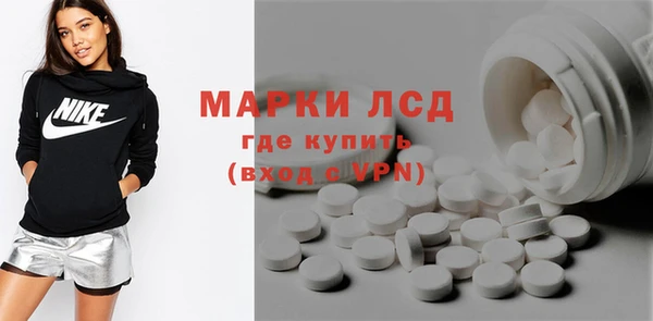 ECSTASY Покачи