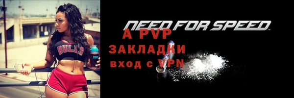 стафф Арсеньев
