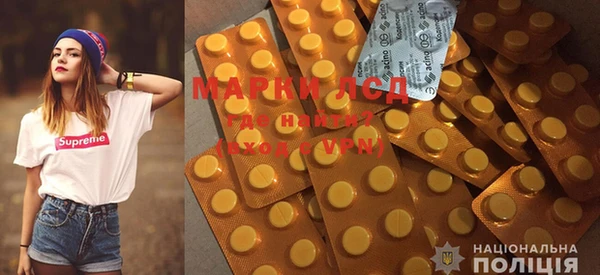 ECSTASY Покачи